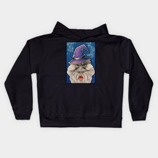 Grouchy Wizard Cat Kids Hoodie